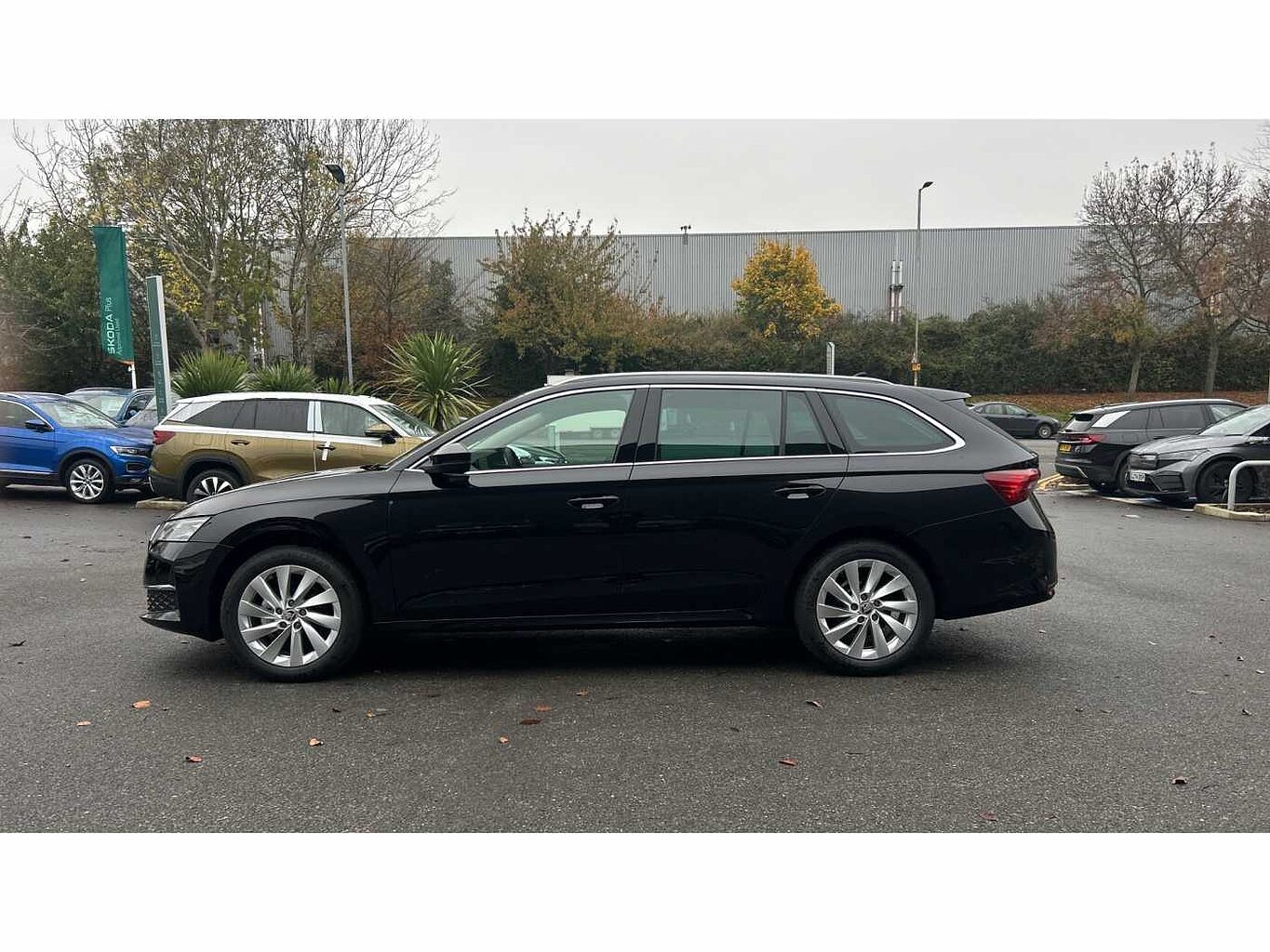 SKODA OCTAVIA Estate First Edition 1.5 TSI 150 PS 6G Man