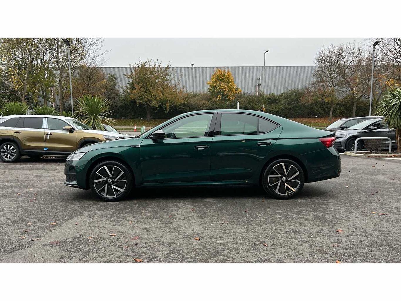 SKODA OCTAVIA Hatch SportLine 1.5 TSI e-TEC 150 PS DSG