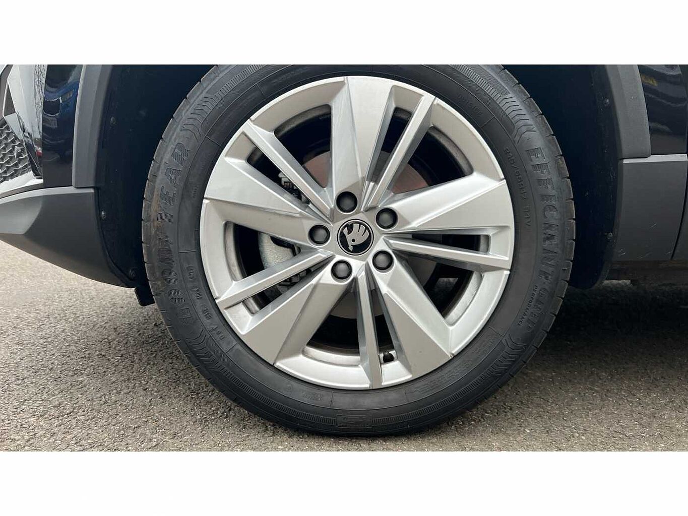 SKODA KAROQ SE Edition 1.0 TSI 116 PS 6G Man