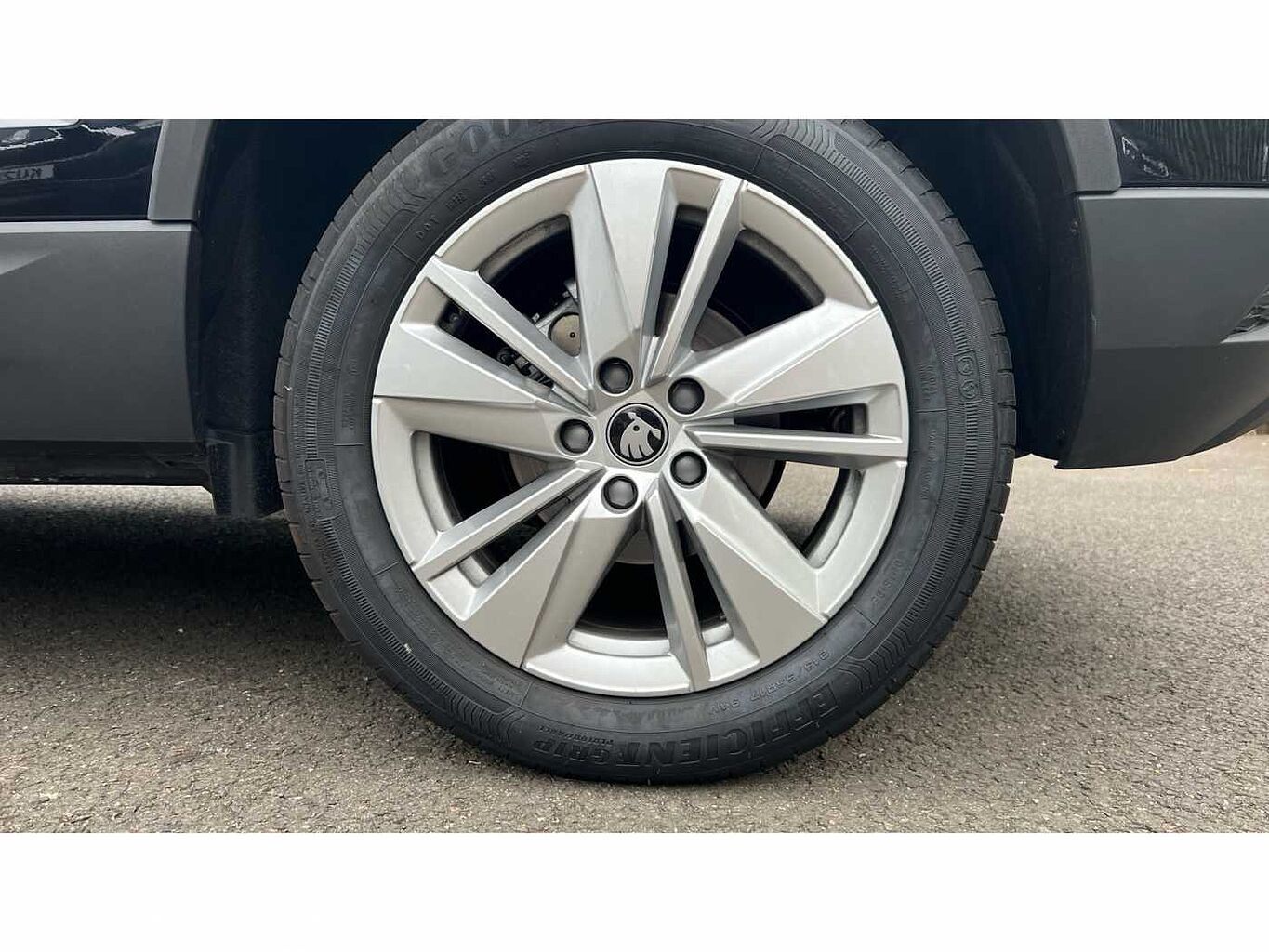 SKODA KAROQ SE Edition 1.0 TSI 116 PS 6G Man
