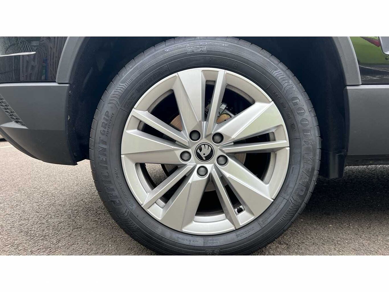 SKODA KAROQ SE Edition 1.0 TSI 116 PS 6G Man