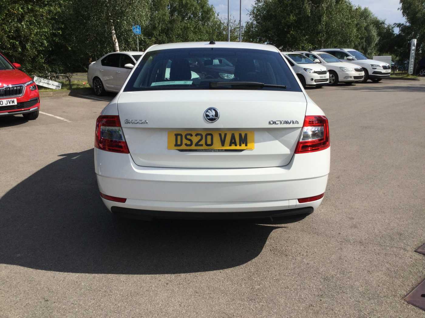 Skoda burntwood