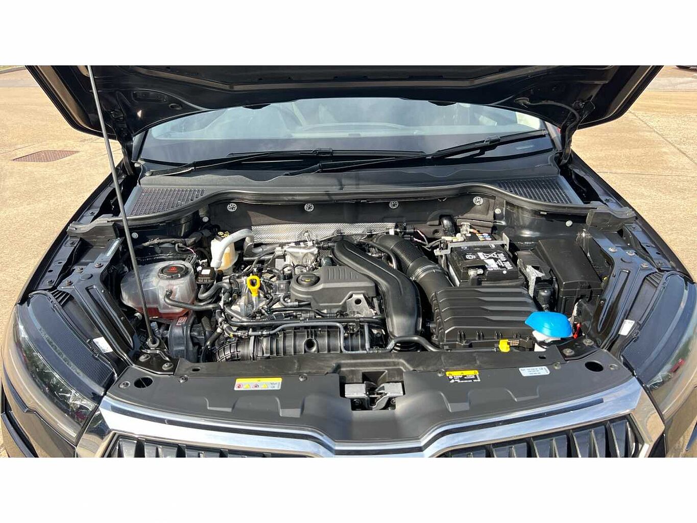 SKODA KAROQ 1.5 TSI SE Drive 5dr DSG
